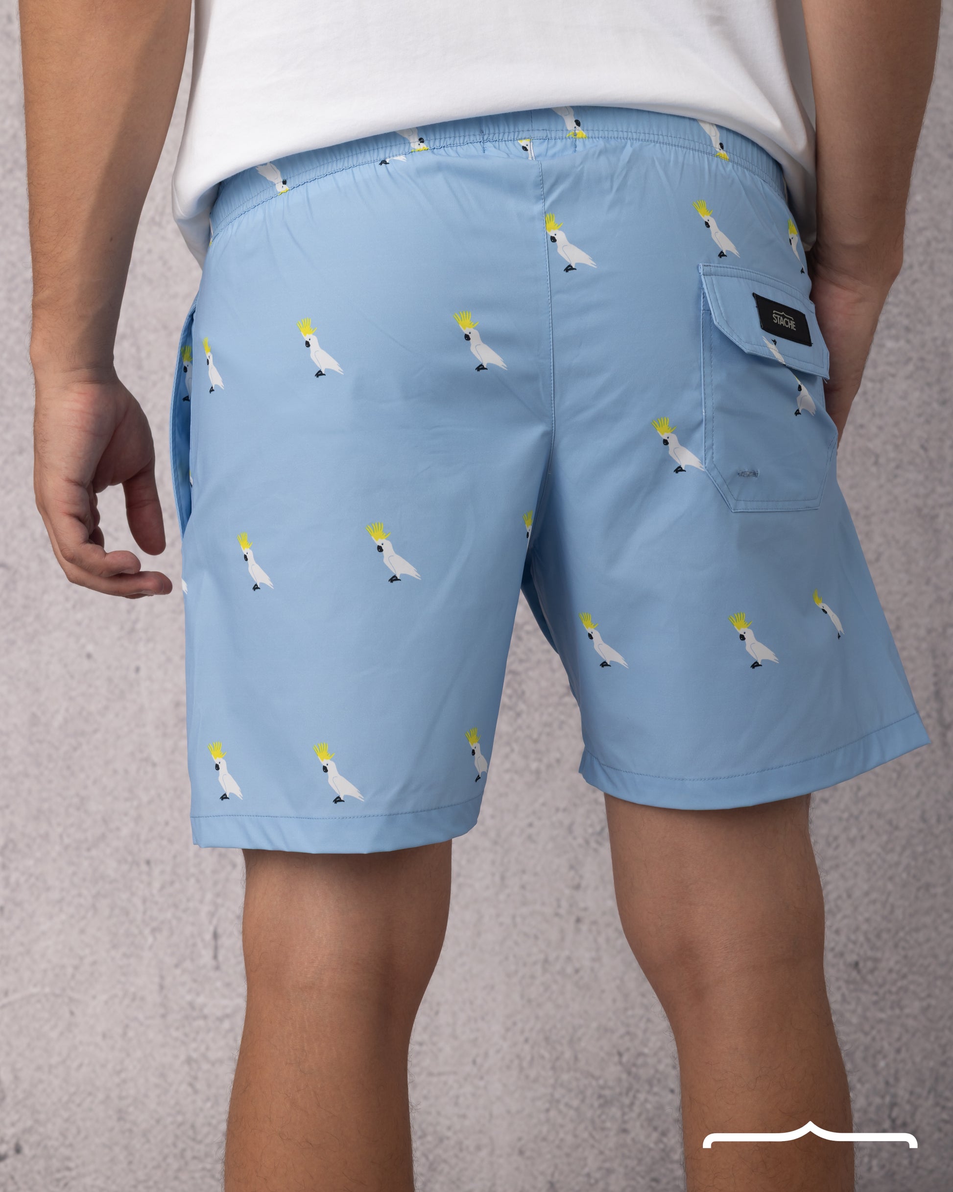 swim wear short for men