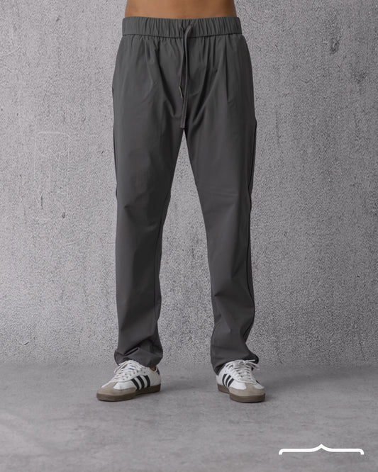 Classic Fit Pants in Grey