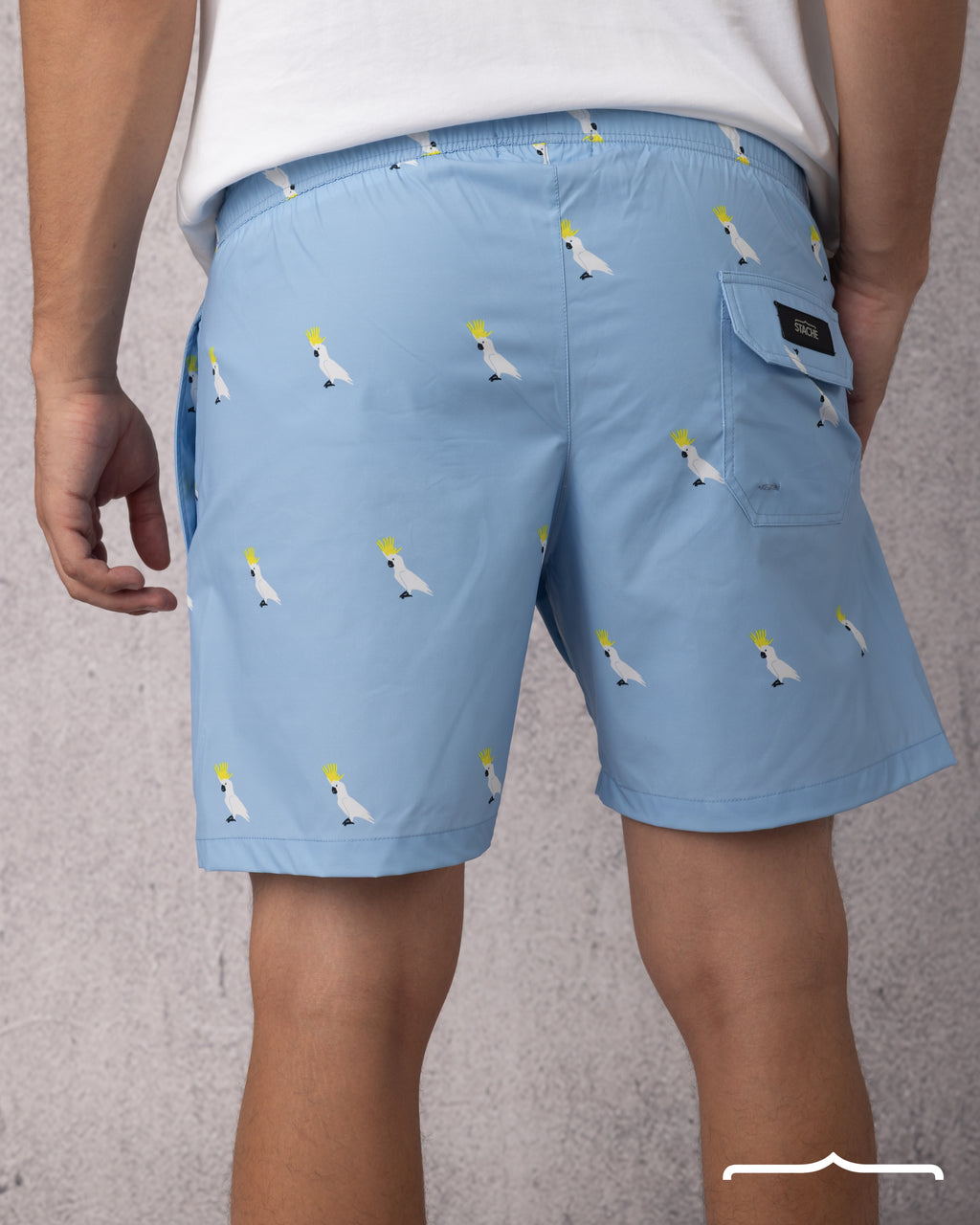 swim wear short for men