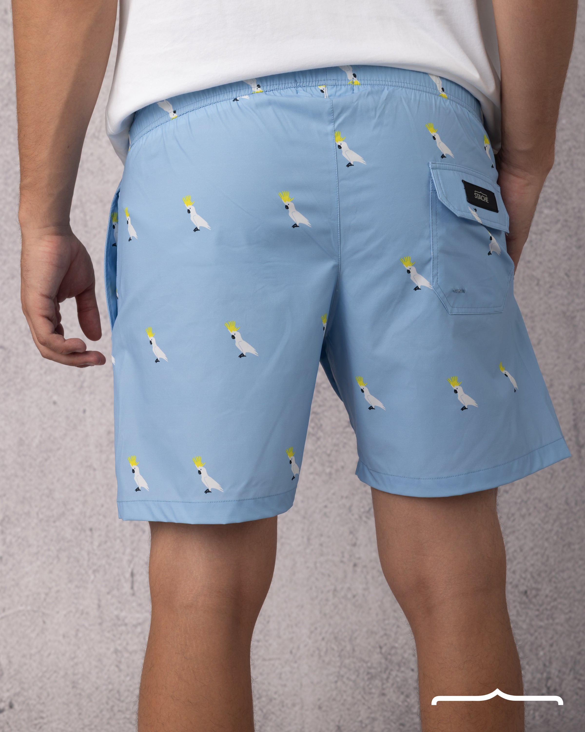 swim wear short for men