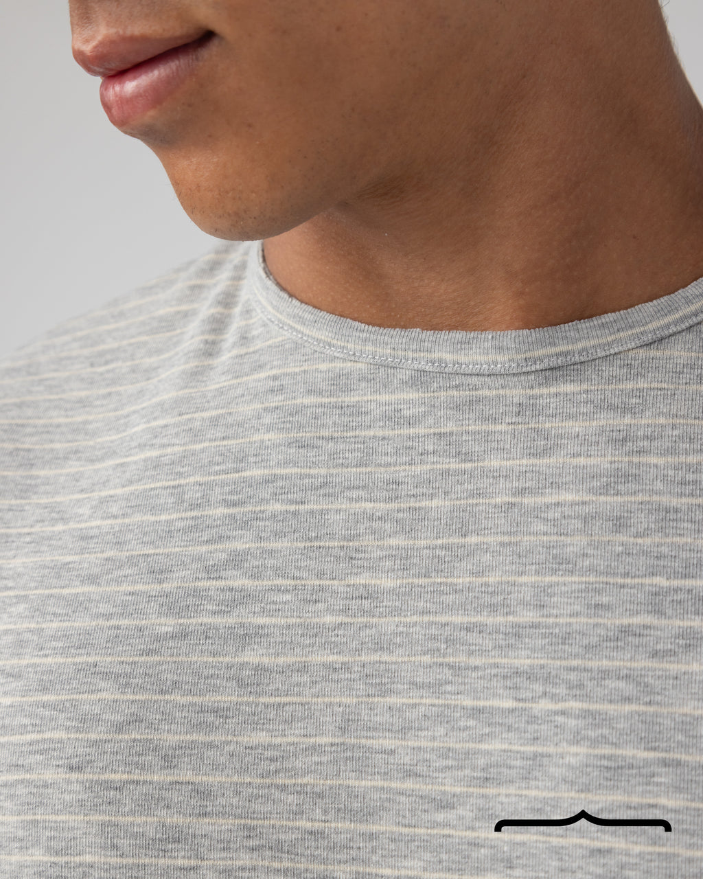 Crew neck Striped Knit T-Shirt in Grey