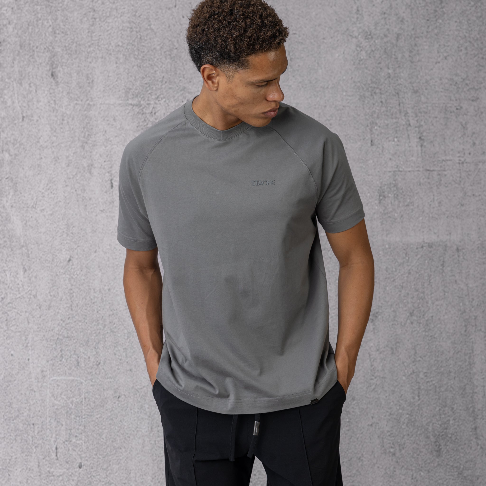 Raglan Rubber Logo in Regular Fit in Grey