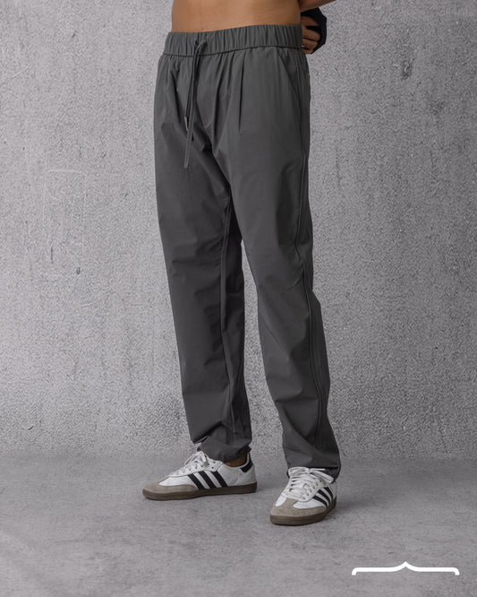 Classic Fit Pants in Grey